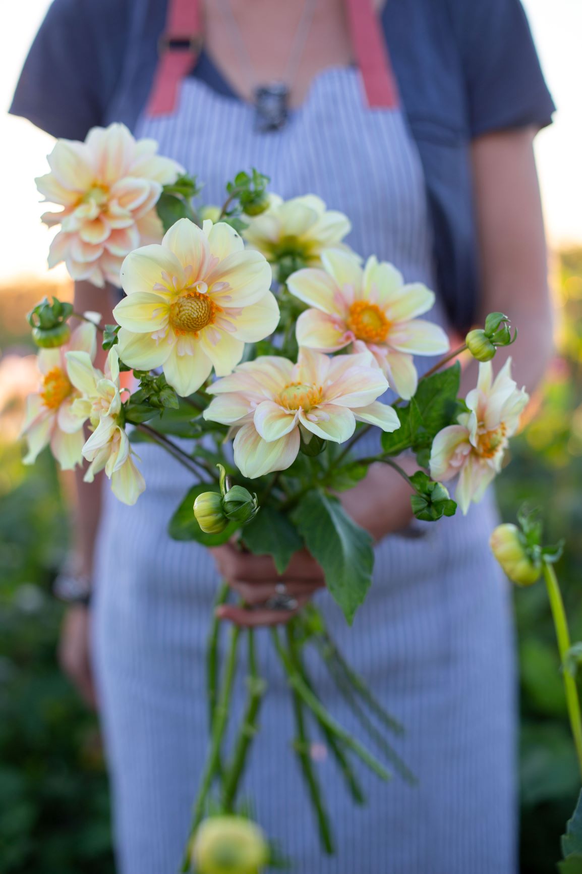 Puriri Lane | Floret Farm's A Year In Flowers