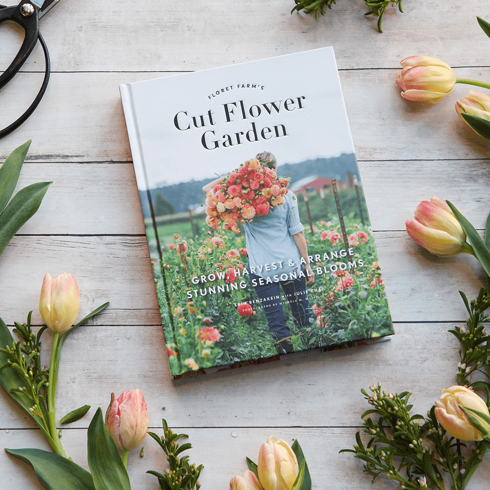 Puriri Lane | Floret Farm's | Cut Flower Garden | Erin Benzakein