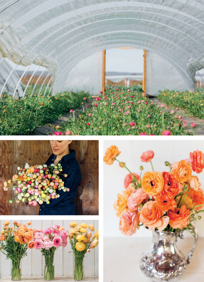 Floret Farm's Cut Flower Garden | Erin Benzakein