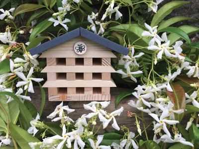 Puriri Lane | Gift In A Tin | Build A Bee Hotel
