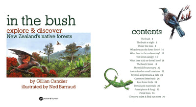 Puriri Lane | In The Bush | Ned Barraud & Gillian Candler