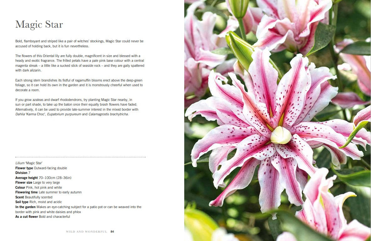 Puriri Lane | Beautiful Varieties For Home & Garden | Naomi Slade