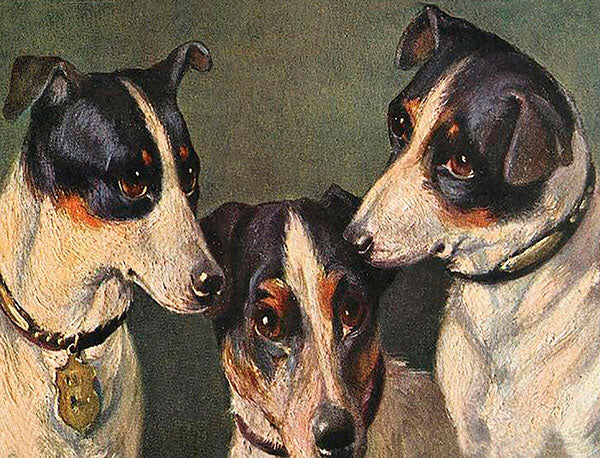 Puriri Lane | Madame Treacle | Little Vintage | Terriers Card