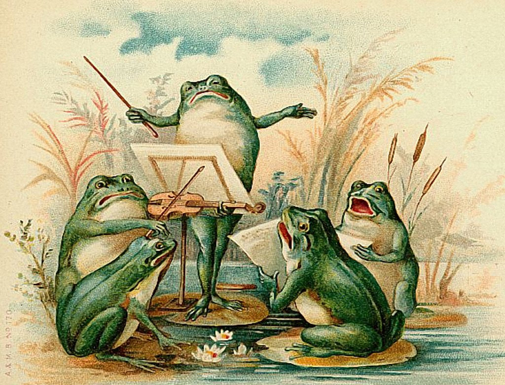 Puriri Lane | Madame Treacle | Frog Chorus