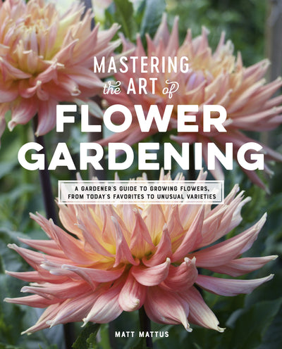 Puriri Lane | Mastering The Art Of Flower Gardening | Matt Matus