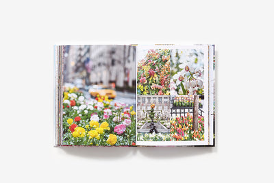Puriri Lane | New York In Bloom | Georgianna Lane