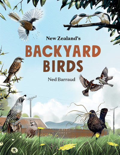 Puriri Lane | New Zealand's Backyard Birds | Ned Barraud