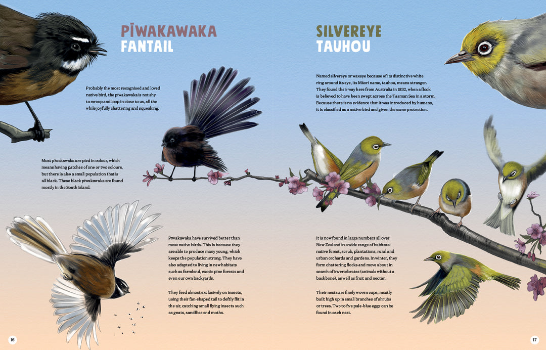 Pictures And Names Of Garden Birds