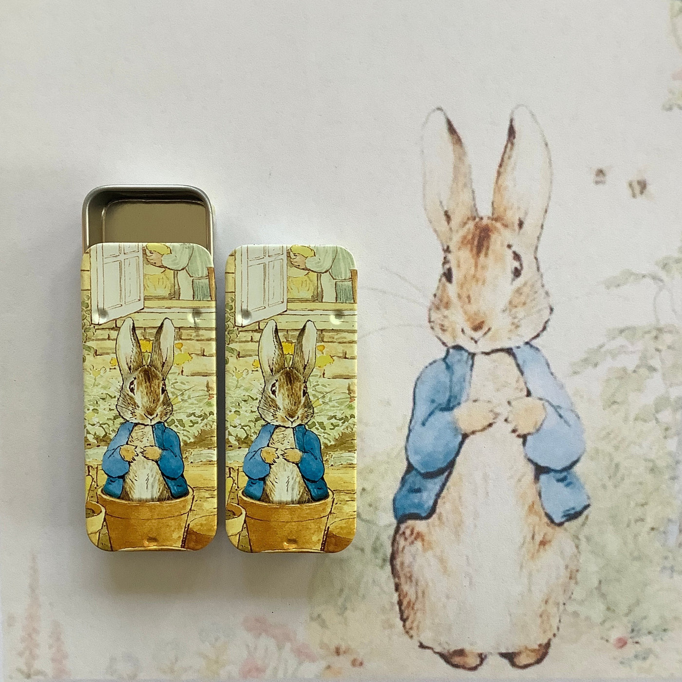 Puriri Lane | Peter Rabbit & Friends | Slider Tin | In The Veggie Patch