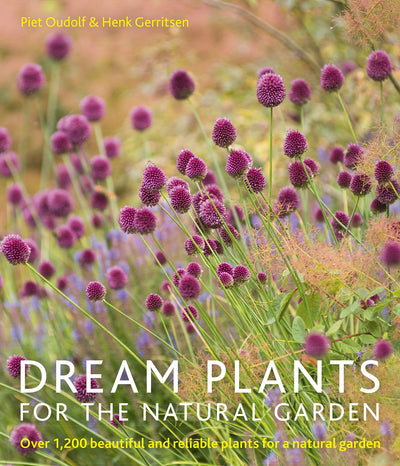 Puriri Lane Dream Plants For The Natural Garden | Piet Odoulf