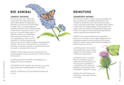 Puriri Lane | Planting For Butterflies | The Growers Guide To Creating A Flutter | Jane Moore