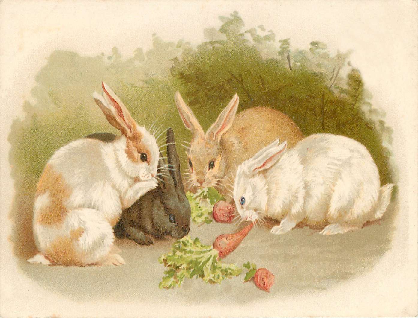 Puriri Lane | Bunnies int he carrot patch | Madame Treacle | Little Vintage