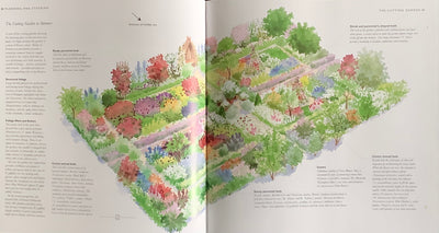 Puriri Lane | The Cutting Garden | Sarah Raven