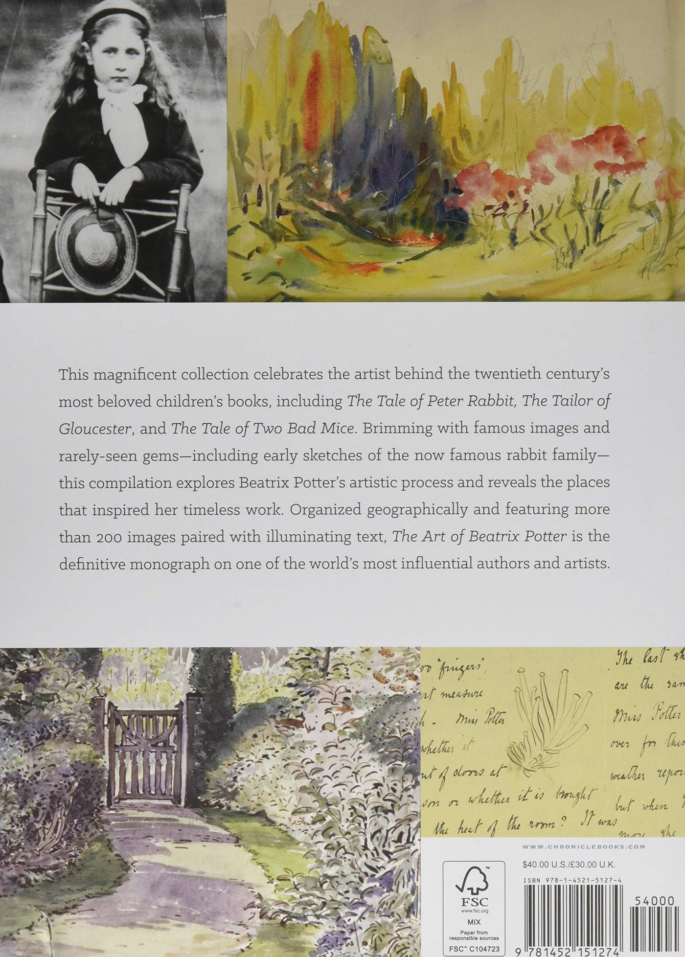Puriri Lane | The Art Of Beatrix Potter | Sketches, Paintings & Illustrations