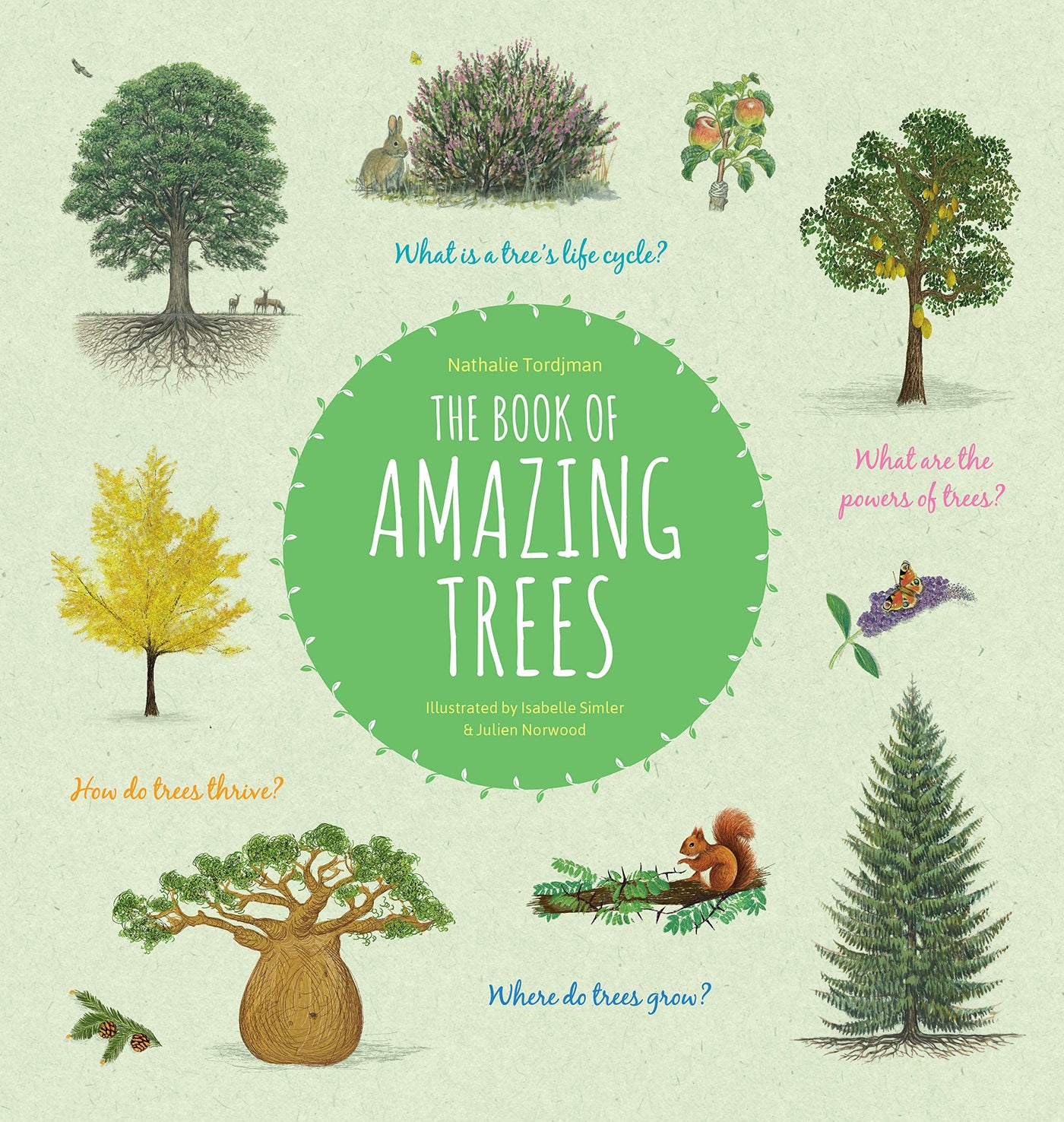 Puriri Lane | The Book Of Amazing Trees | Nathalie Tordjman