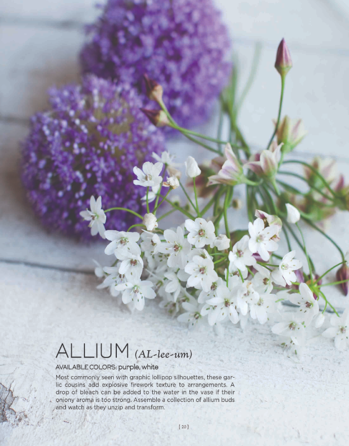 Puriri Lane | The Flower Recipe Book | Alethea Harampolis & Jill RizzoPuriri Lane | The Flower Recipe Book | Alethea Harampolis & Jill Rizzo