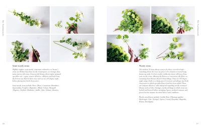 Puriri Lane | Flower School | The Principles& Pleasures Of Good Flowers