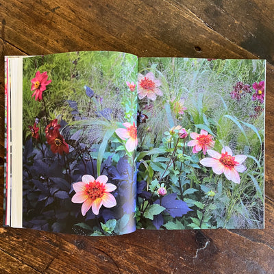 Puriri Lane | The Flower Yard | Arthur Parkinson