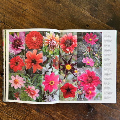The Flower Yard | Arthur Parkinson