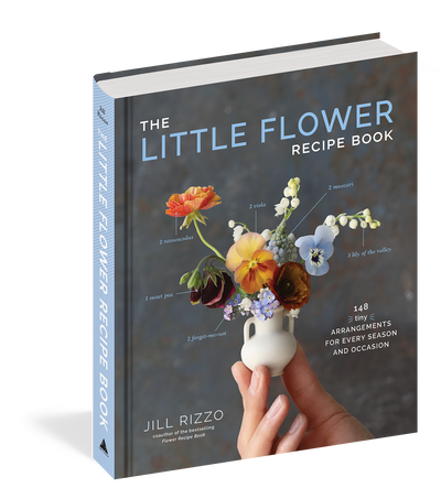 Puriri Lane | The Little Flower Recipe Book | Jill Rizzo