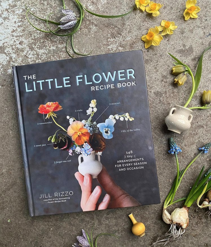 Puriri Lane | The Little Flower Recipe Book | Jill Rizzo