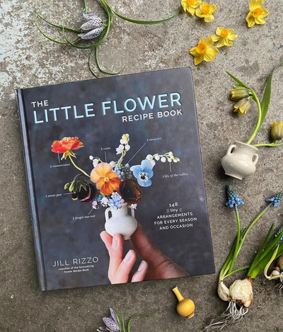 Puriri Lane | The Little Flower Recipe Book | Jill Rizzo