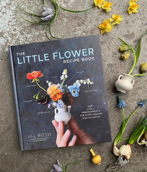 The　Lane　Little　Book　Puriri　Flower　–　Rizzo　Recipe　Jill　Addenbrooke