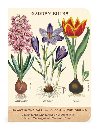 Puriri Lane | The Potting Shed |Notebooks Set of 3 | Cavallini & Co.