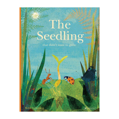Puriri Lane | The Seedling That Didn't Want To Grow | Britta Teckentrup