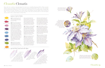 Puriri Lane | The Watercolour Flower Painters A-Z | Adelene Fletcher