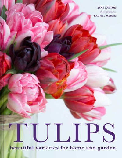Puriri Lane | Tulips | Beautiful Varieties For Home & Garden | Jane Eastdoe