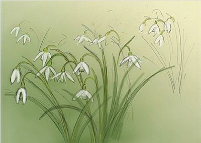 Puriri Lane | Snowdrops in Spring | Card