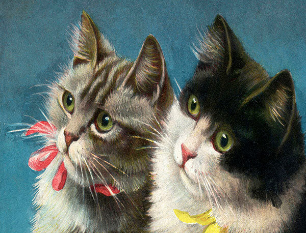 Puriri Lane | Madame Treacle | Little Vintage | Kittens