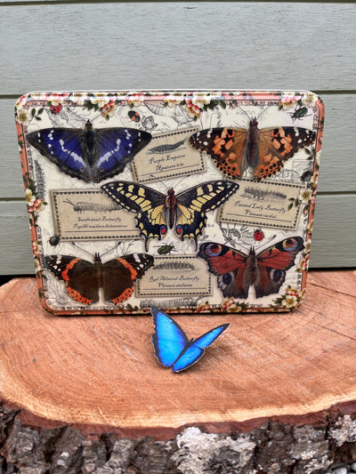 Puriri Lane | Vintage Butterflies | Rectangular Tin