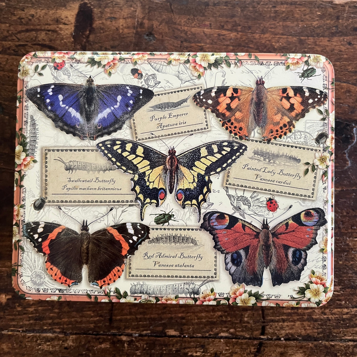 Puriri Lane | Vintage Butterflies | Rectangular Tin
