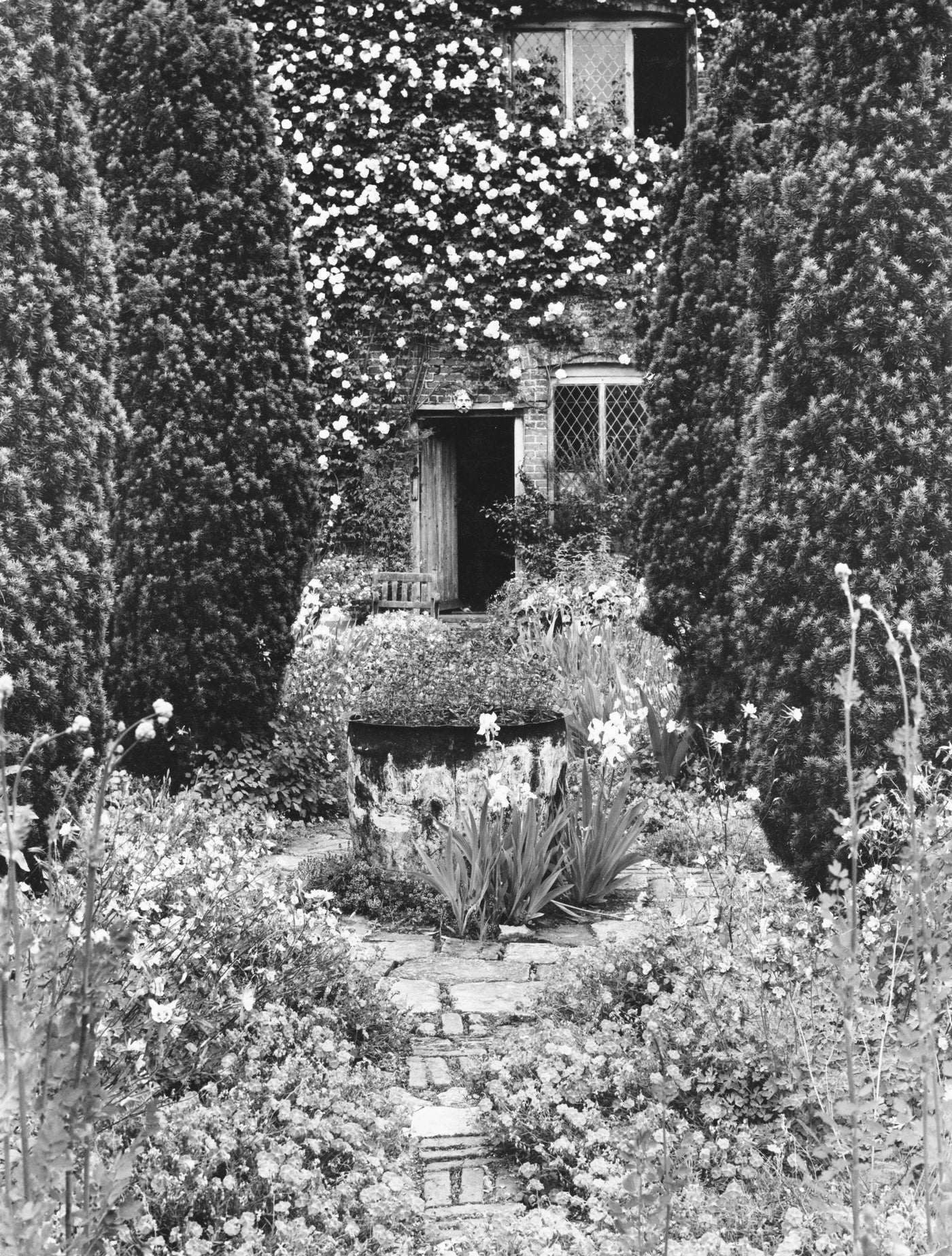 Puriri Lane | Sissinghurst | The Creation Of A Garden 