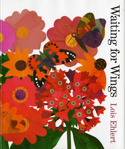 Puriri Lane | Waiting For Wings | Lois Ehlert
