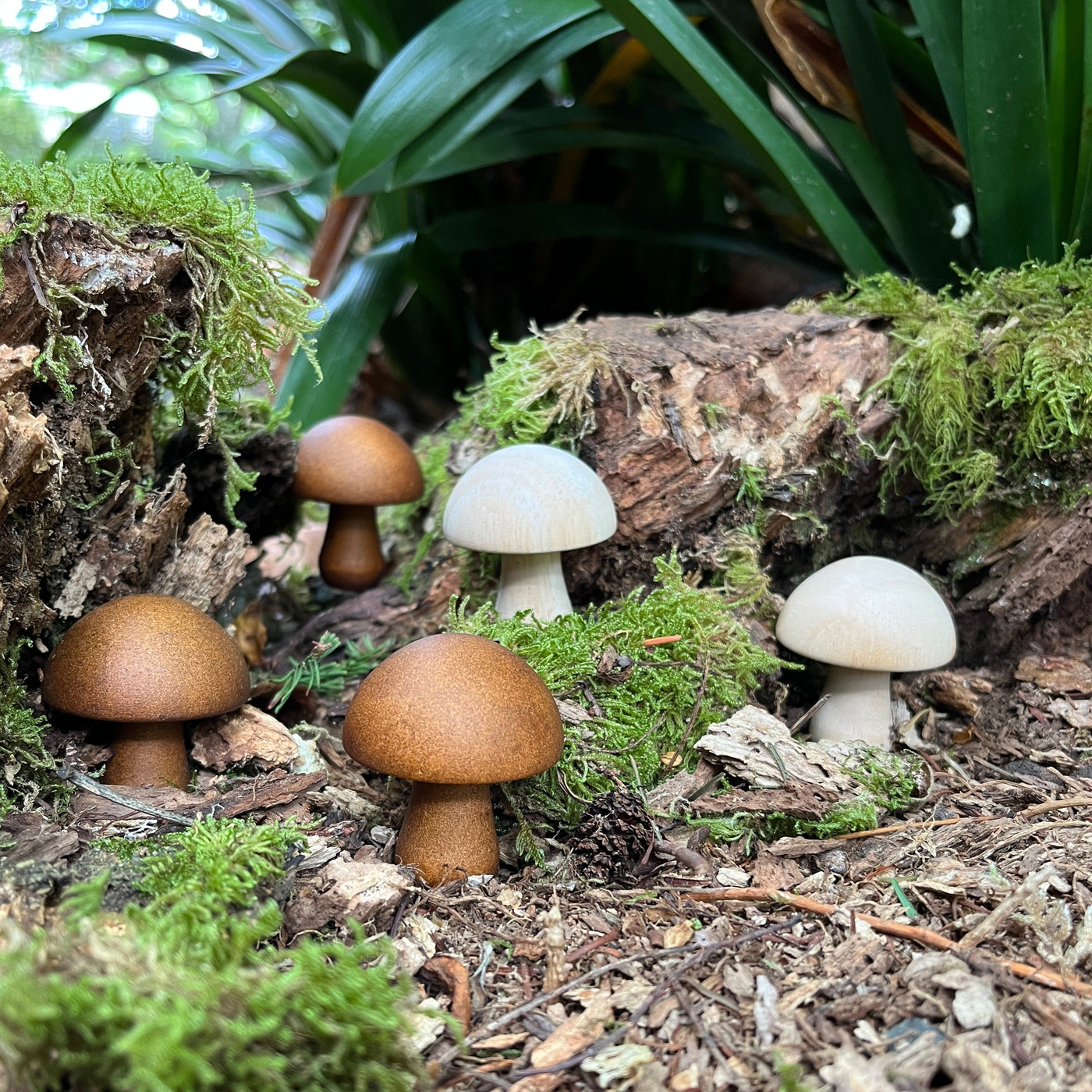 Puriri Lane | Wooden Mushrooms | Set of 10
