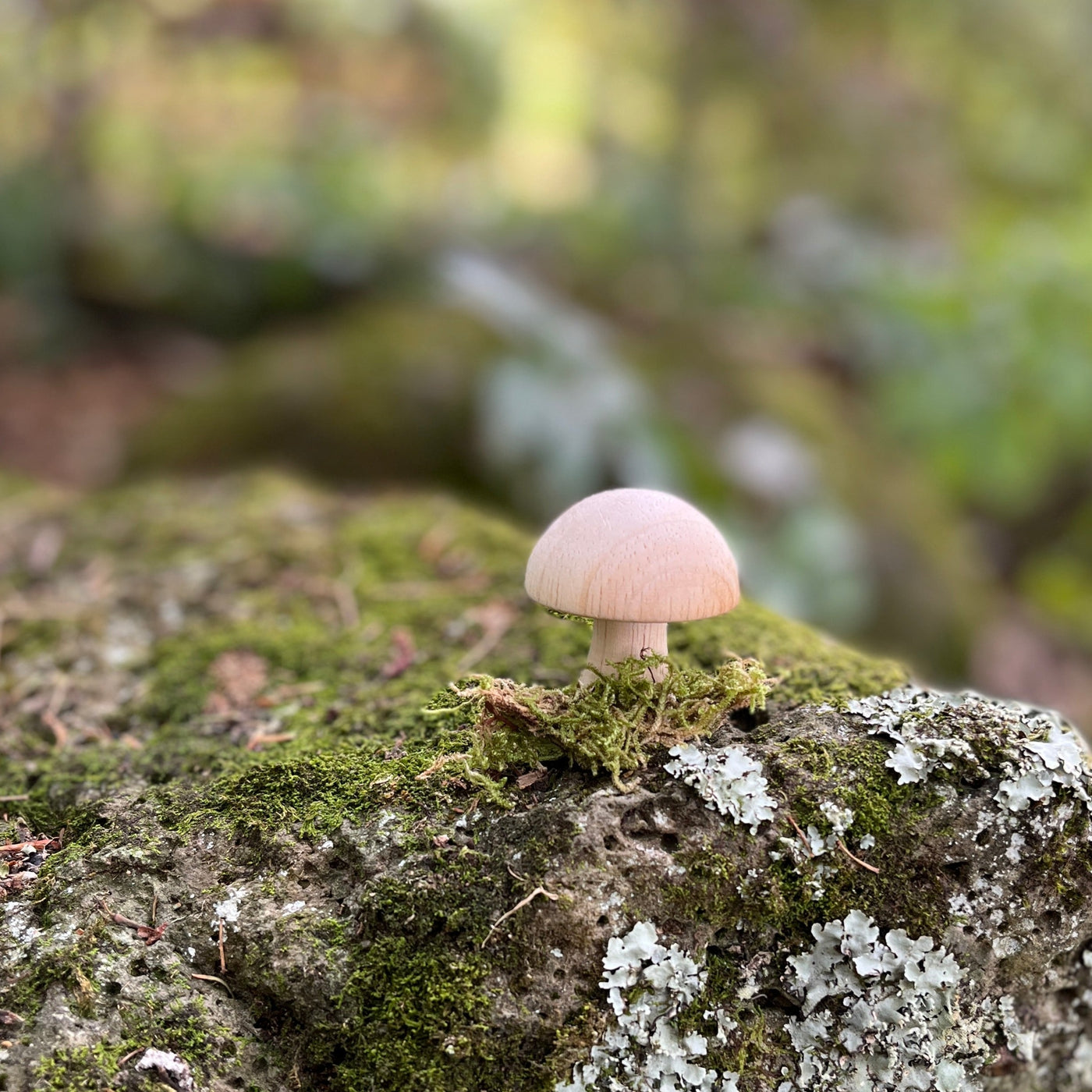 Puriri Lane | Wooden Mushrooms | Set of 10